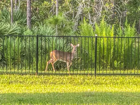503 Stone Arbor Ln, Saint Augustine, FL 32086 photo 4