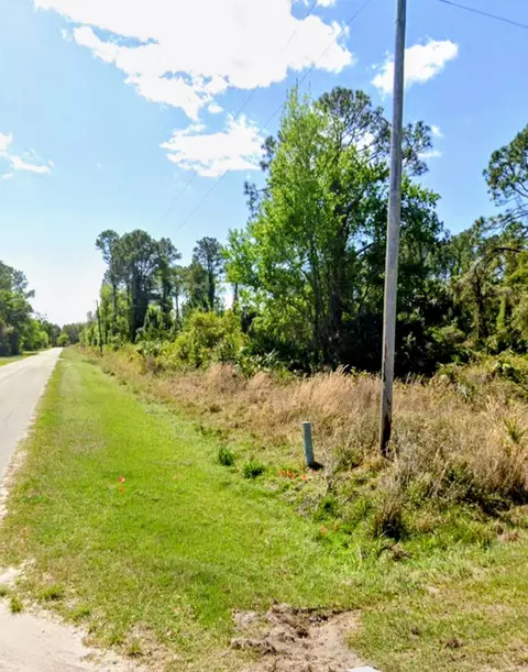 Palm Way, Georgetown, FL 32139