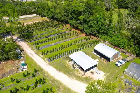 6271 County Road 208, Saint Augustine, FL 32092 photo 34