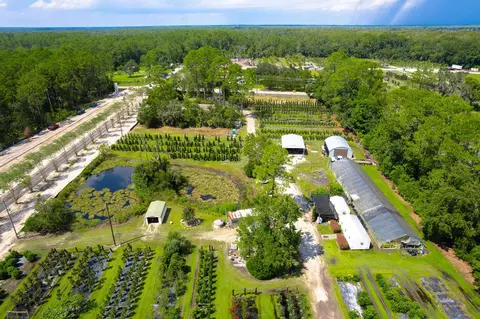 6271 County Road 208, Saint Augustine, FL 32092 photo 1
