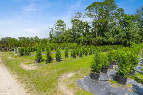 6271 County Road 208, Saint Augustine, FL 32092 photo 8