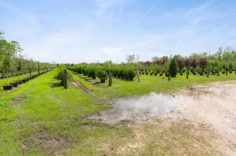 6271 County Road 208, Saint Augustine, FL 32092 photo 4