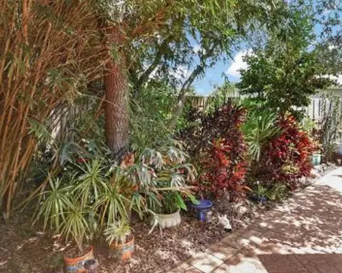 123 Whispering Oaks Cir, Saint Augustine, FL 32080 photo 43