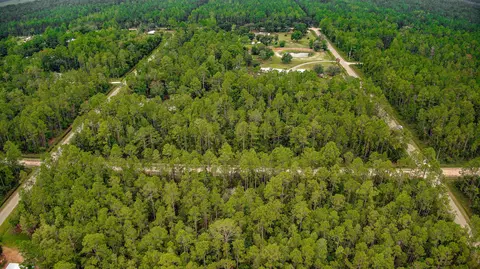 10705 Dillon Ave, Hastings, FL 32145