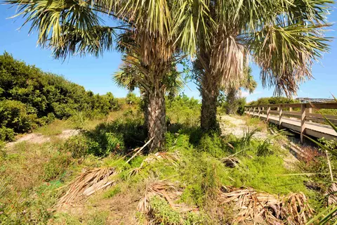 4954 Atlantic Vw, Saint Augustine, FL 32080 photo 37