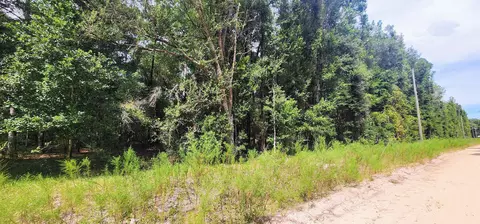 Donys Ave, Interlachen, FL 32148 photo 2