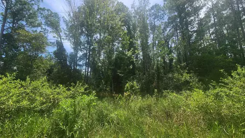 225 2nd St, Georgetown, FL 32139
