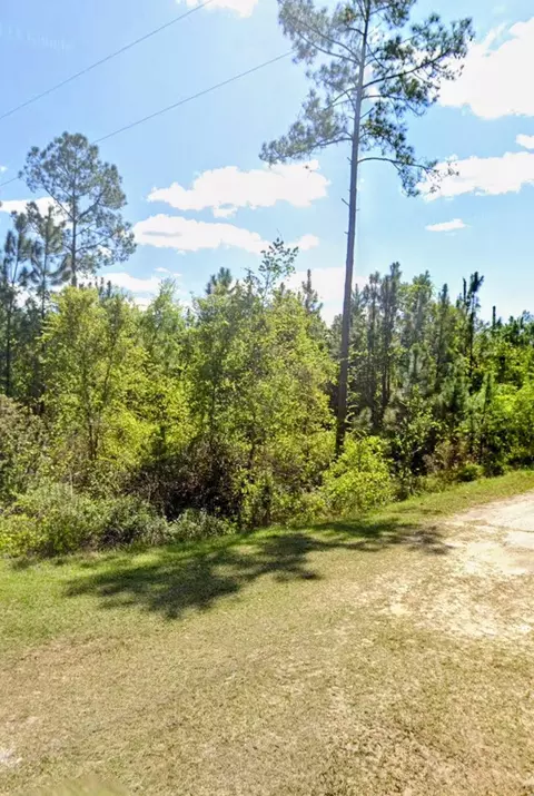 tbd Birch Blvd, Georgetown, FL 32139