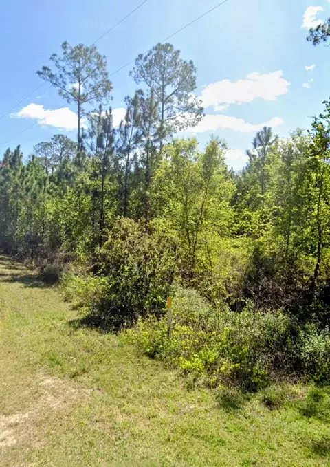 tbd Birch Blvd, Georgetown, FL 32139 photo 2