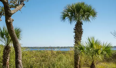 View/Area - 37 Tarragona Ct, Saint Augustine, FL 32086 photo 3 of 4