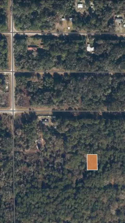 315 Edgewood Dr, Georgetown, FL 32139