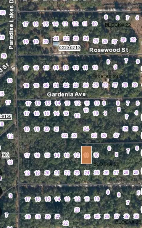 113 Palm Way, Georgetown, FL 32139