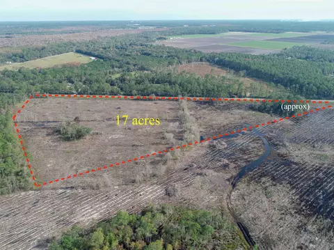 0 County Road 13, Saint Augustine, FL 32092 photo 7