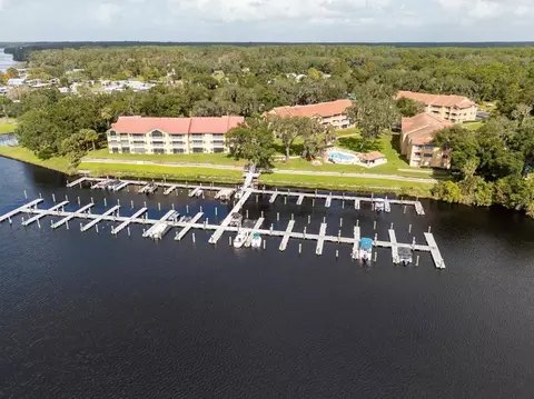 99 Broad River Pl #3205, Welaka, FL 32193