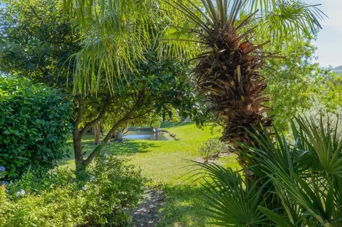 984 Ridgewood Ln, Saint Augustine, FL 32086 photo 33