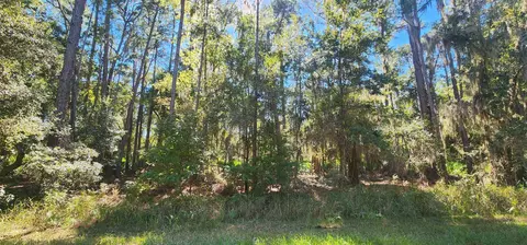 205 Terri Ave, Georgetown, FL 32139