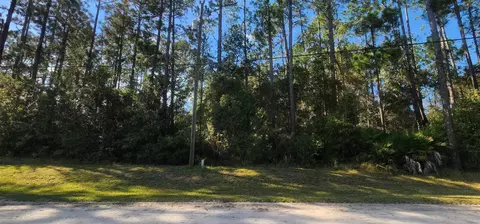 tbd Bowfin Dr, Palatka, FL 32177