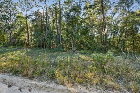 0 Usina Ave, Interlachen, FL 32148 photo 24