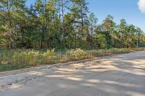 0 Usina Ave, Interlachen, FL 32148 photo 22
