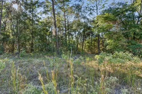 0 Usina Ave, Interlachen, FL 32148 photo 26