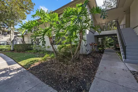 Exterior - 37 Alcira Ct, Saint Augustine, FL 32086 photo 10 of 14