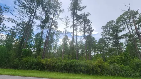 213 Georgetown Denver Rd, Georgetown, FL 32139