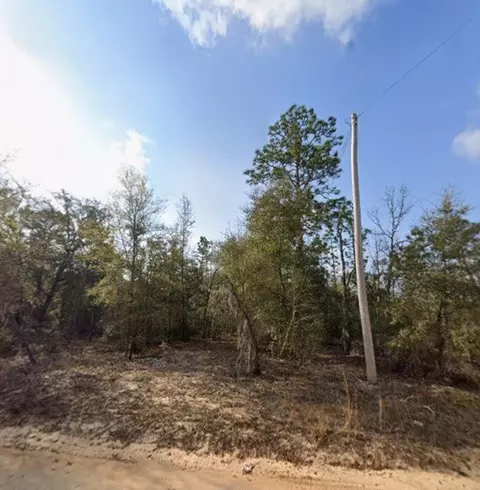 tbd S 3rd Ave, Interlachen, FL 32148