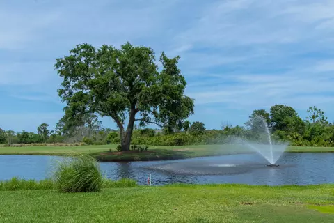View/Area - 305 Marsh Point Cir, Saint Augustine, FL 32080 photo 13 of 15