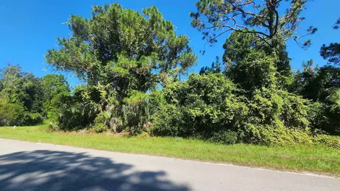 tbd Palm Way And Gardenia Ave, Georgetown, FL 32139