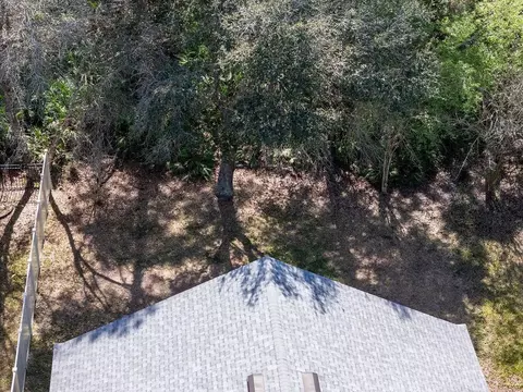 View/Area - 1233 Splendid Ravine St, Saint Augustine, FL 32092 photo 2 of 11