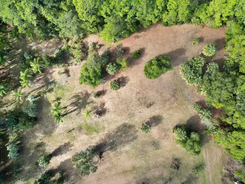 0 S Avilla Ave, Saint Augustine, FL 32084 photo 8