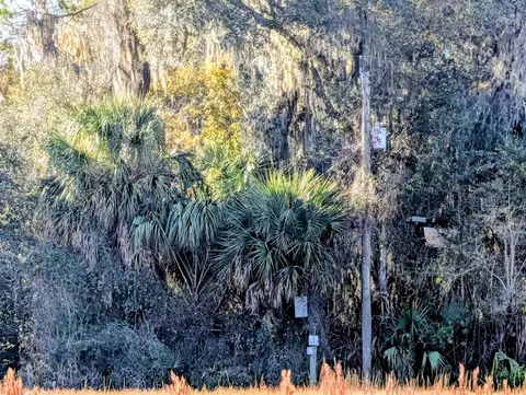 E Putnam County Blvd, East Palatka, FL 32131