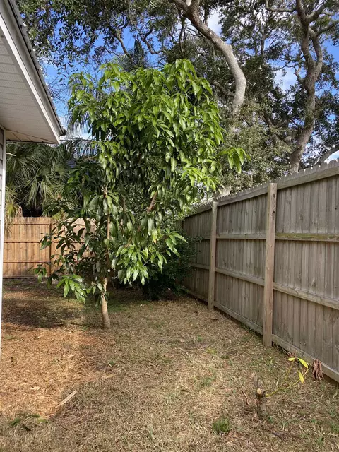 Exterior - 497 Pyrus St, Saint Augustine, FL 32080 photo 6 of 9