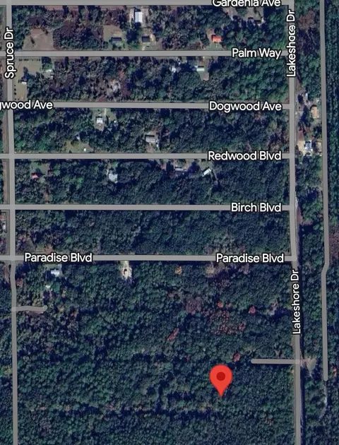 330 Chipola Dr, Georgetown, FL 32139