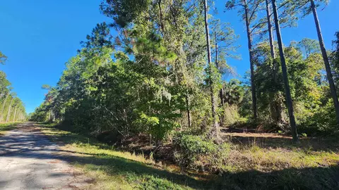 tbd Georgetown Denver Rd, Georgetown, FL 32139 photo 3