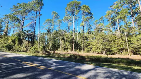 tbd Georgetown Denver Rd, Georgetown, FL 32139