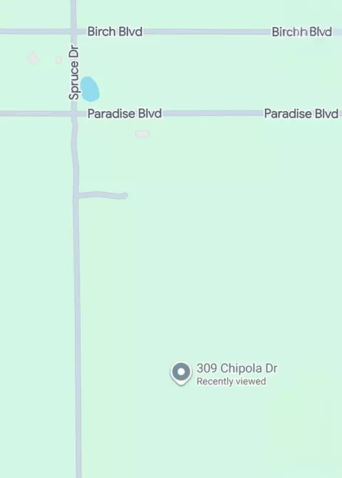 309 Chipola Dr, Georgetown, FL 32139 photo 2