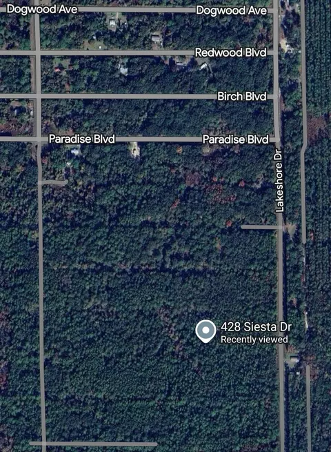 428 Siesta Dr, Georgetown, FL 32139 photo 2