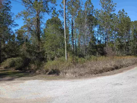 10575 Amos Ave, Hastings, FL 32145