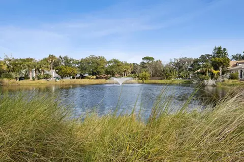 View/Area - 121 Spoonbill Point Ct, Saint Augustine, FL 32080 photo 3 of 13