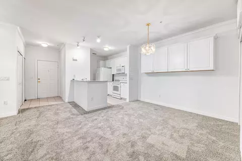 320 Ryder Cup Cir #203, Saint Augustine, FL 32092 photo 6