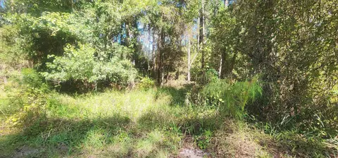 424 Dogwood Ave, Georgetown, FL 32139