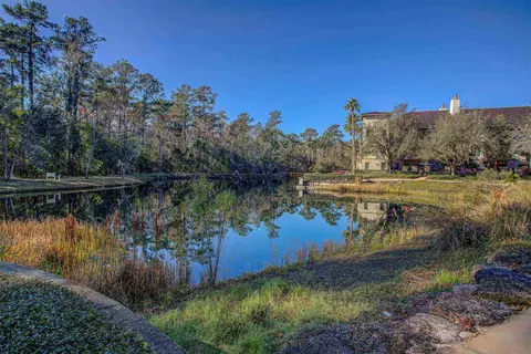 View/Area - 945 Registry Blvd #209, Saint Augustine, FL 32092 photo 7 of 9