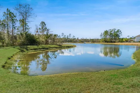 View/Area - 295 Deerfield Meadows Cir, Saint Augustine, FL 32086 photo 2 of 8