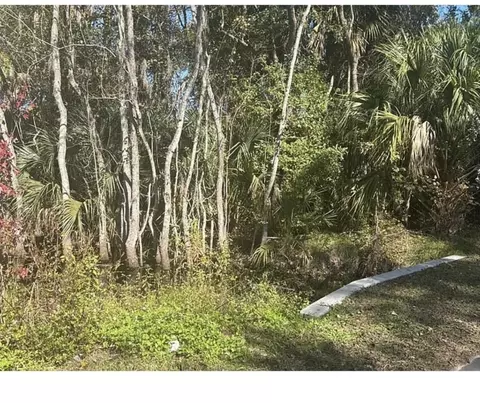 0 Collier Blvd, Saint Augustine, FL 32084