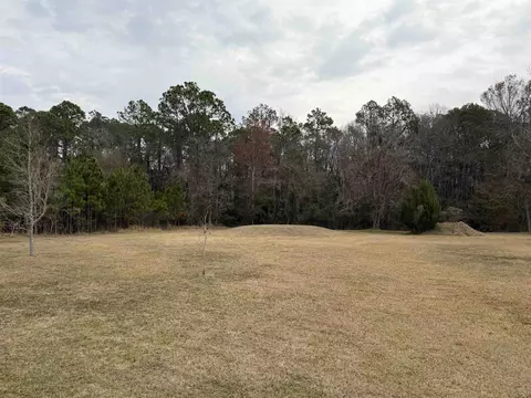 Exterior - 2434 Pellicer Rd, Saint Augustine, FL 32092 photo 4 of 5