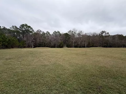 2434 Pellicer Rd, Saint Augustine, FL 32092 photo 5