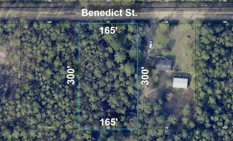 4235 Benedict St, Hastings, FL 32145
