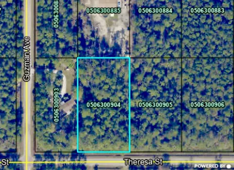 4260 Theresa St, Hastings, FL 32145