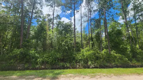 0 Erickson Ave, Hastings, FL 32145